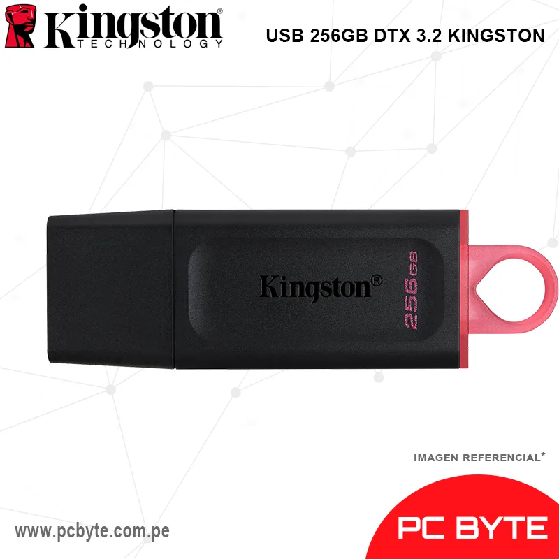 USB 256GB DTX 3.2 KINGSTON
